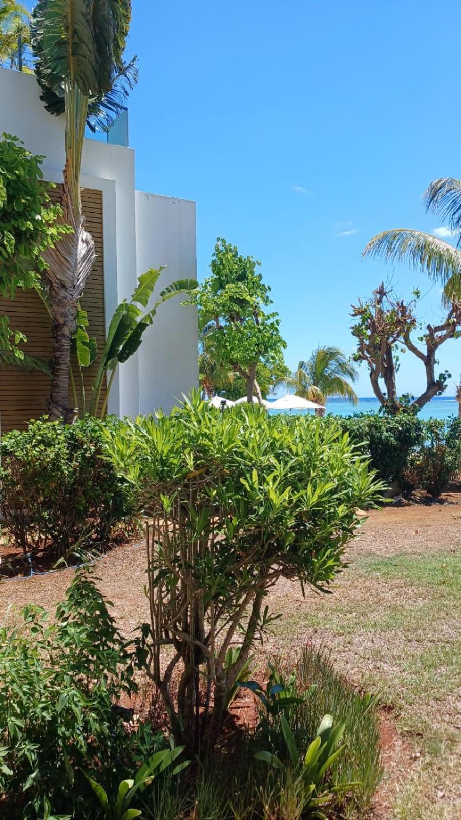 Cap Ouest Luxury Beachfront Flic-en-Flacq Buitenkant foto